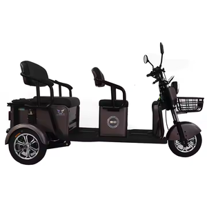 <span class=keywords><strong>Scooter</strong></span> eléctrico de fábrica Venta caliente 60V 20Ah 500W Bicicletas eléctricas Triciclo eléctrico de 3 ruedas - Product Image 5