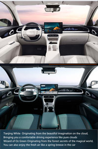 Per la stella della galassia di Geely 2025 310km edizione della gioventù nuova auto elettrica cinese piccolo veicolo ad alta efficienza energetica - Product Image 4