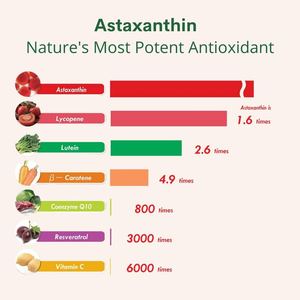 באיכות גבוהה אישית <span class=keywords><strong>astaxanthin</strong></span> טבעי נוגד חמצון מזון כיתה ג 'ל רך קפסולות gmp ויטמין ממס שיטה ארוזה תופים - Product Image 5