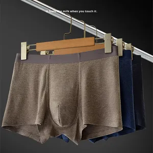Sous-vêtements thermiques doux pour homme automne-hiver, taille mi-haute, en soie de mûrier brossée, antibactériens, sans coutures et respirants (slips et boxers) - Product Image 1