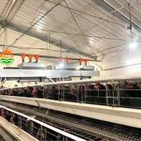 Équipement de ferme avicole un type 4 niveaux 160 oiseaux batterie cage à poulets pour poules pondeuses