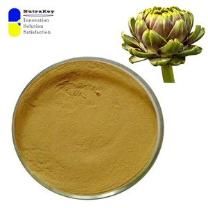 Extracto estandarizado <span class=keywords><strong>de</strong></span> <span class=keywords><strong>alcachofa</strong></span> 40:1-Suplemento <span class=keywords><strong>de</strong></span> soporte hepático, alto en ácido clorogénico - Product Image 2