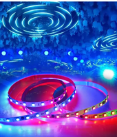 Fée Guirlande Lumineuse Étoilée WS2811 WS2812 RGB 12V 24V LED Lumières Pour Mariage De Noël Halloween Décoration De Vacances En Plein Air