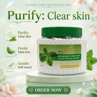 OEM Menthe Verte Rafraîchissante Exfoliante Élimine les Peaux Mortes Éclaircissante Hydratante Masque Exfoliant à l'Argile Visage et Corps pour Hommes et Femmes