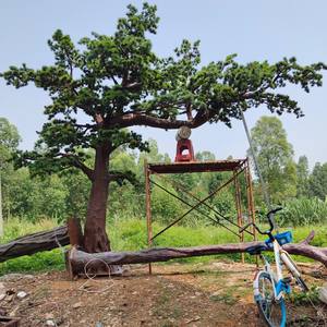 Vente chaude Bonsaï Artificiel <span class=keywords><strong>De</strong></span> Style Japonais Pin Evergreen avec Des Branches <span class=keywords><strong>De</strong></span> Pin Plante Artificielle <span class=keywords><strong>De</strong></span> Qualité Supérieure <span class=keywords><strong>en</strong></span> Vente - Product Image 1