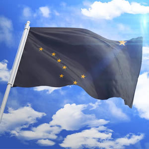 Produit promotionnel Livraison rapide 3x5ft 100% Polyester double face usa 50 drapeau d'état personnalisé drapeau de l'Alaska - Product Image 4