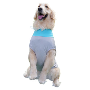 Gilet rafraîchissant pour animaux de compagnie bleu glace et vert fruité avec pochettes de glace, rafraîchissement estival pour races moyennes à grandes - Product Image 5