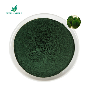 Nhà máy cung cấp protein 65% Chlorella chiết xuất tảo Chlorella Chlorella pyrenoidosa bột - Product Image 1