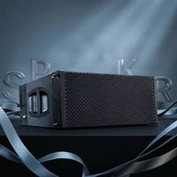 Haut-parleur Line Array 2 voies de 10 pouces avec amplificateur DSP intégré pour événements en direct