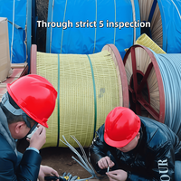 Cable de Fibra Óptica OPGW de 24 Núcleos, Monomodo G.652D, 50-250 mm², Línea de Transmisión Aérea, IEEE 1138, IEC 60794