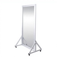 Miroir de Correction Posturale pour l'Entraînement à la Marche et à la Posture Debout avec Grille – Miroir de Rééducation