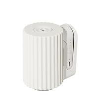 Diffuseur d'arômes SCENTA pour le marché B2B, décoration murale de bureau, diffuseur d'huiles essentielles sans eau à nébulisation, certifié CE