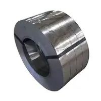 China Manufacturer Gi Galvanized Steel Metal Strip Coil Price Strip St Steel