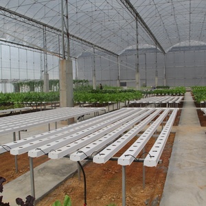 Sistema Idroponico Verticale NFT per Serre Agricole Interne ed Esterne per Coltivatori Commerciali di Lattuga - Product Image 5