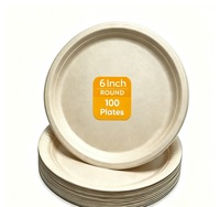 Assiettes jetables 100% compostables, résistantes, écologiques, biodégradables, en fibres de coque de riz, pour les fêtes