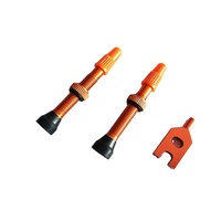 Valve universelle Presta/Schrader sans chambre à air 40 mm avec noyau de valve amovible et capuchon fonctionnel – Accessoires de vélo légers et durables