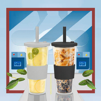 Lot de 2 gobelets en plastique à double paroi de 0,5 L avec couvercles à vis et pailles, tasses de voyage réutilisables pour café, jus et bubble tea