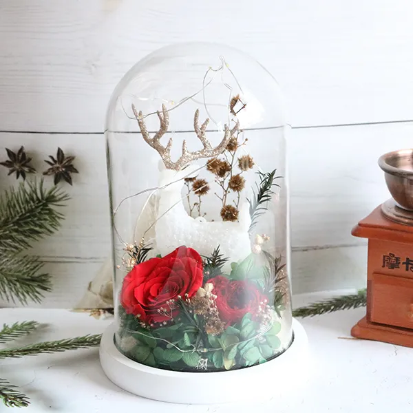 Materiais de decoração de natal, suprimentos para festa, decoração da casa, flor eterna, copo de vidro preservado, domo de vidro