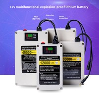 Mobiler 12V Lithium-Akku Modell 12-125 mit Großer Kapazität für LED-Xenon-Lampen und Audio-Ballmaschinen mit Intelligentem Schutz