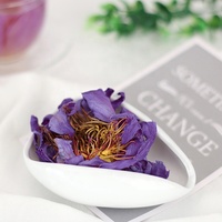 Bunga Lotus Biru Nelumbo Nucifera Mesir, Lily Air Biru Kering