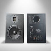 Samtronic Enceintes bibliothèque 6,5 pouces 2.0 canaux V5.3 300W, Moniteur de studio audio bidirectionnel avec crossover, pour Home Cinéma et Musique Hi-Fi
