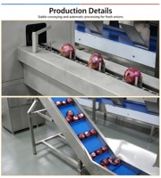 Uienreinigingsapparatuur Uienverwerkingsbedrijven Uienpelschilmachine Verwerkingslijn