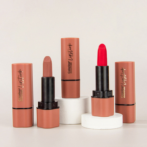 Son môi tốt nhất nhãn hiệu riêng sắc tố Vegan giá rẻ bán buôn lâu dài không thấm nước son môi - Product Image 1