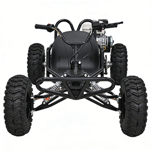 Kart tout-terrain à essence personnalisable et élégant, <span class=keywords><strong>chariot</strong></span> <span class=keywords><strong>de</strong></span> <span class=keywords><strong>course</strong></span> à quatre roues tendance avec options <span class=keywords><strong>de</strong></span> couleur - Product Image 2