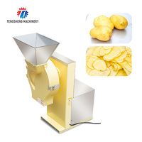 Eenvoudig Te Bedienen Automatische Plantaardig Fruit Knoflook-Ui Weegbree Chips Maken Snijmachine Verwerking Machine