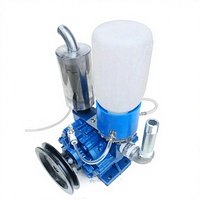 Nouvelle machine à traire électrique portable Bolu en fonte 220V avec pompe à vide, débit d'aspiration de 250 L/min, garantie 1 an pour vaches et chèvres
