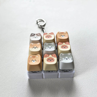 Custom Keycaps Mechanical Keyboard Caps XDA OEM Cherry Profile R4 1U PBT ABS Custom Design Keycap Fidget Keychain Clicker Caps