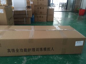 BIX-H135 Chất lượng cao tiên tiến y tế khoa học con người mô hình điều dưỡng manikin (Nam) đầy đủ chức năng màu da cho y tế trường học - Product Image 4