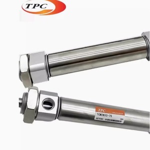 Mini Cilindro Neumático TPC TCM2B20 75 de Acero Inoxidable Tipo Pistón - Product Image 1