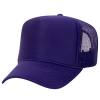 Gorras Trucker de Espuma con Bordado 3D de 5 Paneles, Malla de Corona Alta y Cadenas, para Logotipo Personalizado, Gorra Trucker Lisa