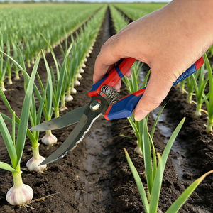 Cisaille à <span class=keywords><strong>ail</strong></span> à tête courbée avec lame en acier au carbone, cisailles <span class=keywords><strong>de</strong></span> taille pour droitiers pour une récolte efficace sur le terrain. Poignée en caoutchouc manuelle - Product Image 2