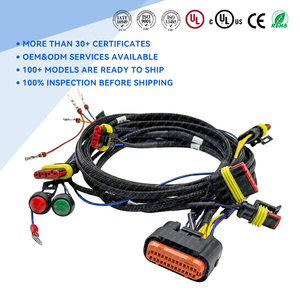 Kunden spezifische Kabelbäume Kabelbaum baugruppen für Kraftfahrzeuge Stellen Sie eine Vielzahl kompletter Motor kabelbäume her - Product Image 5