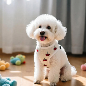 Arnés Innovador para Perro, Personalizable, Bordado, Blanco, Tipo Teddy, con Anillo Frontal, Transpirable, de Malla, sin Estrangulamiento - Product Image 2