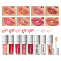 Brillant à Lèvres d'Expédition avec Logo Personnalisé Rouge à Lèvres Liquide Transparent Brillant Nude avec Grande Baguette Marque Privée Minérale Vegan