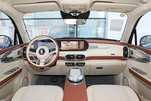 2025 Offre Spéciale femmes belle <span class=keywords><strong>ORA</strong></span> Ballet chat 401km édition Premium chine nouvelle énergie véhicule <span class=keywords><strong>ORA</strong></span> Ballet chat Mini Ev voiture - Product Image 6