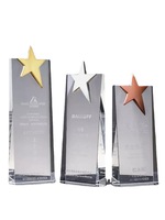 Plaque de trophée en cristal personnalisée, écologique, gravée au laser, polie, avec sculpture en forme d'étoile, avec sublimation, cadeau pour les événements sportifs