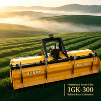 Motoculteur rotatif DTNJ 1GK-300, attache pour tracteur 3m, équipement agricole professionnel pour le travail du sol