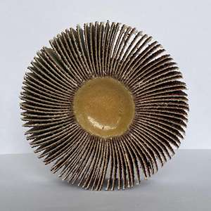 80*25*6 मिमी एल्यूमीनियम ऑक्साइड फ्लैप व्हील पॉलिश अनुकूलित ओम फ्रंट रियर मुडगार्ड फेंडर स्टेनलेस स्टील बनाने के लिए - Product Image 2