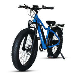 Bicicleta eléctrica de montaña de 26 pulgadas, cicla eléctrica de montaña de 750W, precio barato - Product Image 6