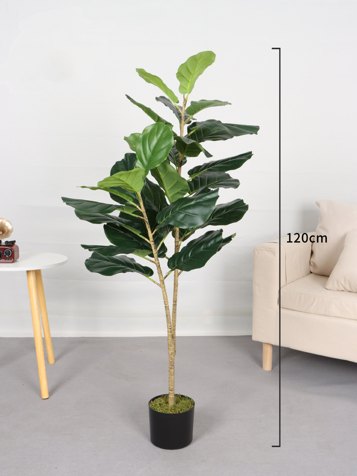120cm
