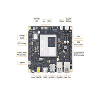 Placa de desarrollo,