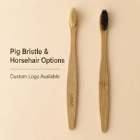 Brosse à dents 100% naturelle avec poils durs en crin de cheval et en poils de porc, biodégradable et organique, pour adultes, usage domestique
