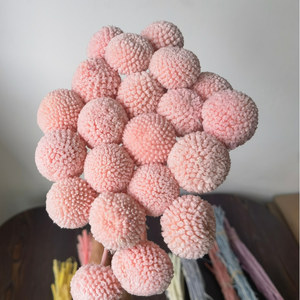 Bouquet de Billy Buttons Conservés avec 20 Tiges pour Décoration de Mariage, Maison, Bureau, Fête - Product Image 4