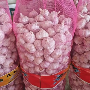 กระเทียมสดขายส่ง ไม่มีเชื้อรา อายุการเก็บรักษาดี เหมาะสำหรับการส่งออก ใช้สำหรับการส่งออกทางเรือ - Product Image 4
