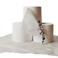 Rouleau de papier toilette blanc en pulpe de bambou TAB, serviette en papier naturel 2 plis 300 feuilles, papier toilette personnalisé avec gaufrage