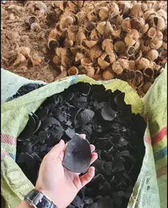 Cáscara de coco de carbón activado, extracción de metales preciosos, cáscara de coco, precio de carbón activado granular